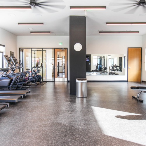 24 Hour Fitness Room treadmills and fitness machines